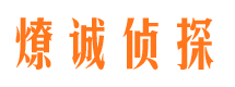 田家庵侦探公司